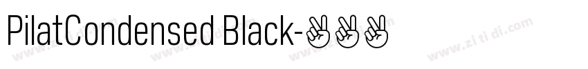 PilatCondensed Black字体转换